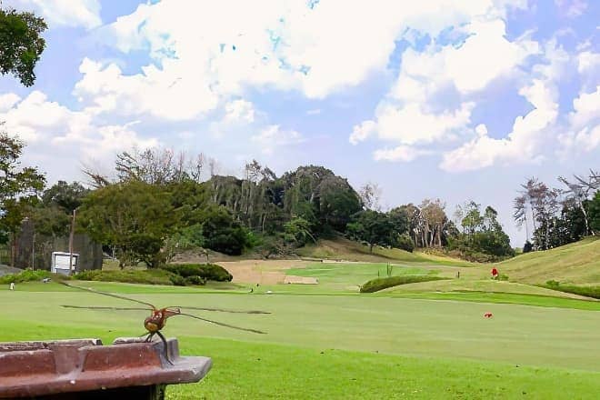 パッティング練習場