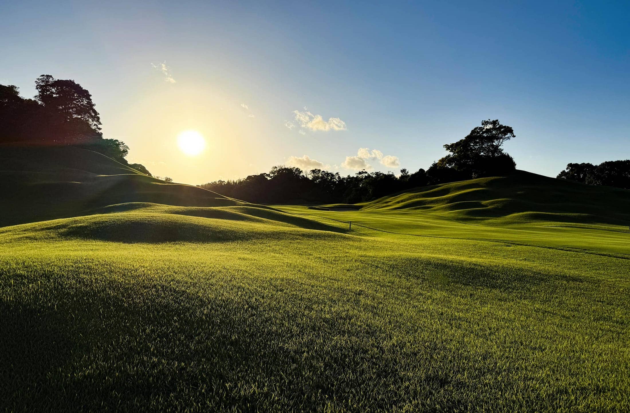 メインビジュアル1